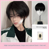 Load image into Gallery viewer, Wig Male Korean Natural Daily Natural Black Breeze Broken Cover Fluffy Hair Short Light Hair Cover Simulation Wig Cover