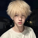 Load image into Gallery viewer, Platinum wig boys short hair Korean version handsome full head cover type Yang excess the same men's differential broken cover wig