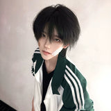 Load image into Gallery viewer, Wig Male Korean Natural Daily Natural Black Breeze Broken Cover Fluffy Hair Short Light Hair Cover Simulation Wig Cover