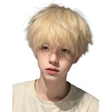 Load image into Gallery viewer, Platinum wig boys short hair Korean version handsome full head cover type Yang excess the same men's differential broken cover wig