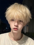 Load image into Gallery viewer, Platinum wig boys short hair Korean version handsome full head cover type Yang excess the same men's differential broken cover wig
