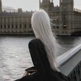 Load image into Gallery viewer, Grandma gray wig female full hood silver white medium parting long straight hair jk light gray cos universal lolita hair
