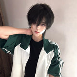 Load image into Gallery viewer, Wig Male Korean Natural Daily Natural Black Breeze Broken Cover Fluffy Hair Short Light Hair Cover Simulation Wig Cover