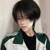 Load image into Gallery viewer, Wig Male Korean Natural Daily Natural Black Breeze Broken Cover Fluffy Hair Short Light Hair Cover Simulation Wig Cover