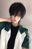 Load image into Gallery viewer, Wig Male Korean Natural Daily Natural Black Breeze Broken Cover Fluffy Hair Short Light Hair Cover Simulation Wig Cover