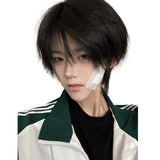 Load image into Gallery viewer, Wig Male Korean Natural Daily Natural Black Breeze Broken Cover Fluffy Hair Short Light Hair Cover Simulation Wig Cover